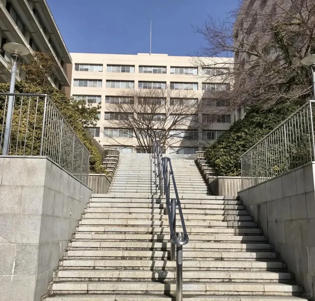 诺奖又带火一所神校：大阪大学，毕业年薪40万
