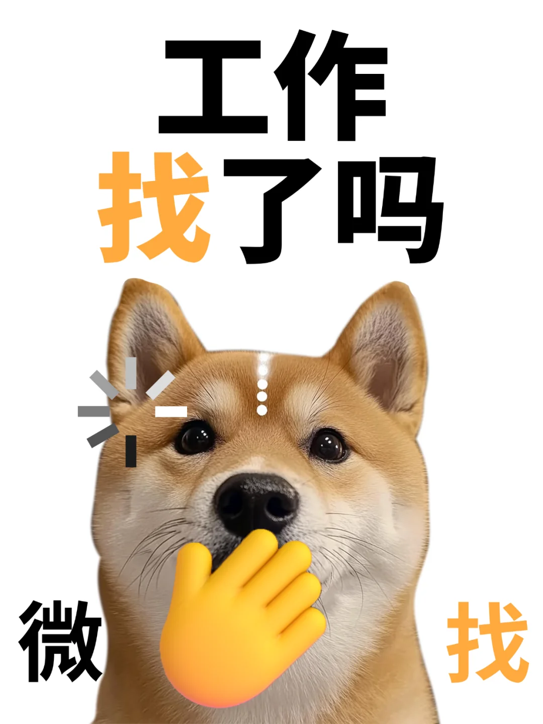 （乌鲁木齐）人，工作找了吗？