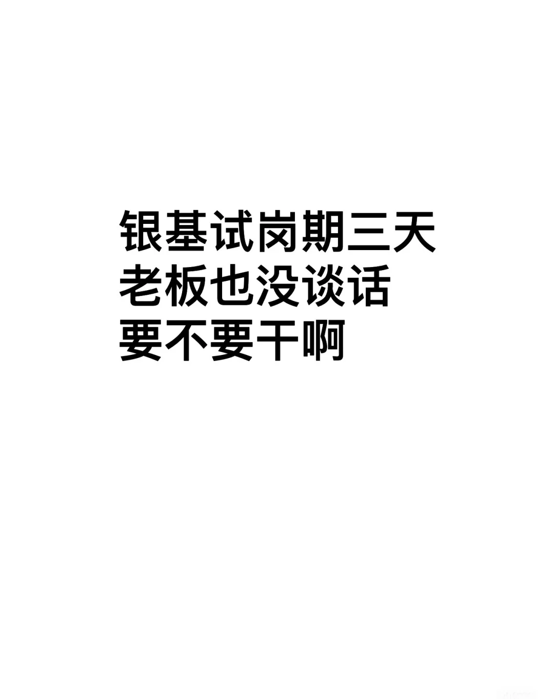 银基新手小白找工作