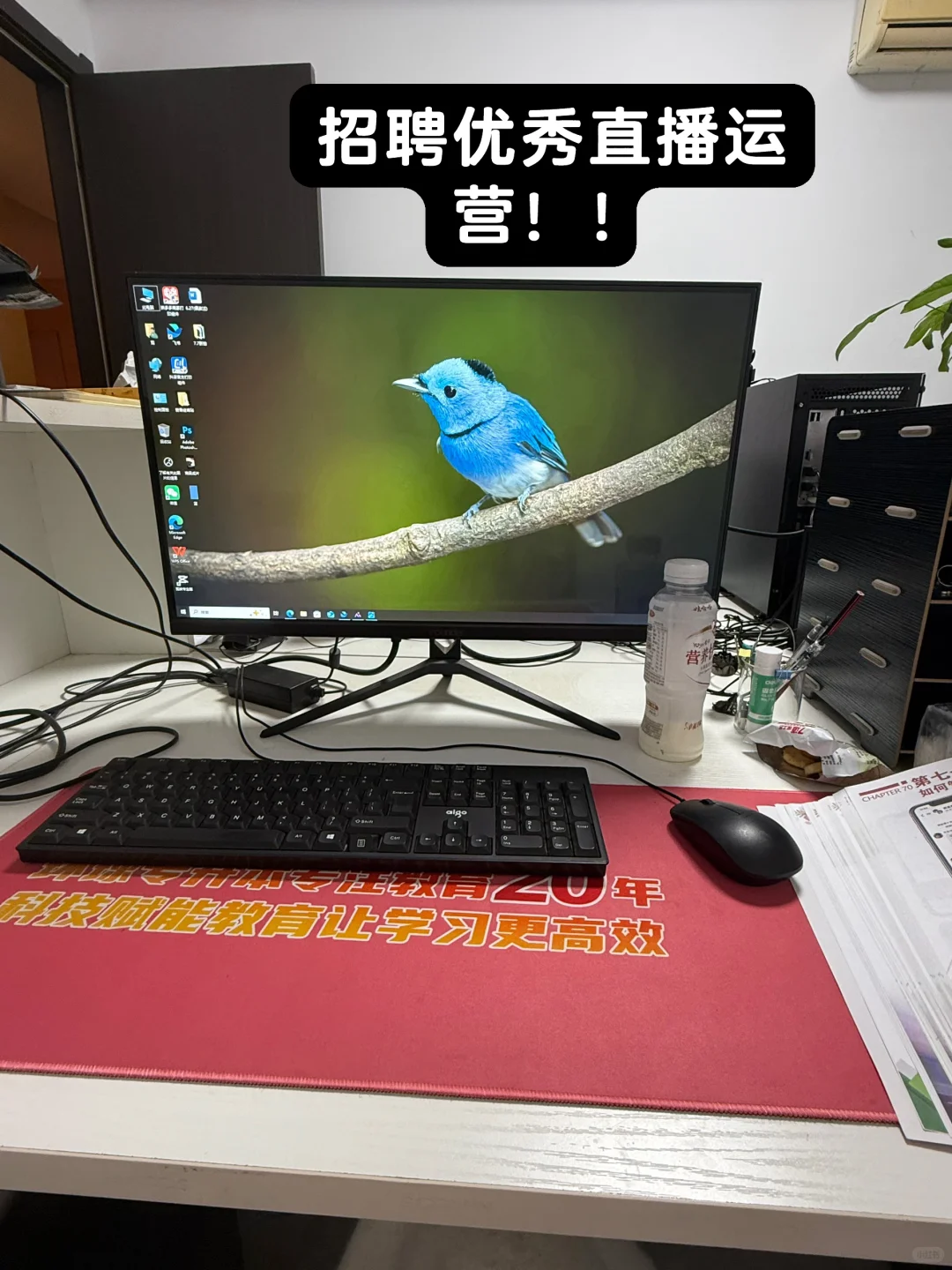 主播运营招聘啦