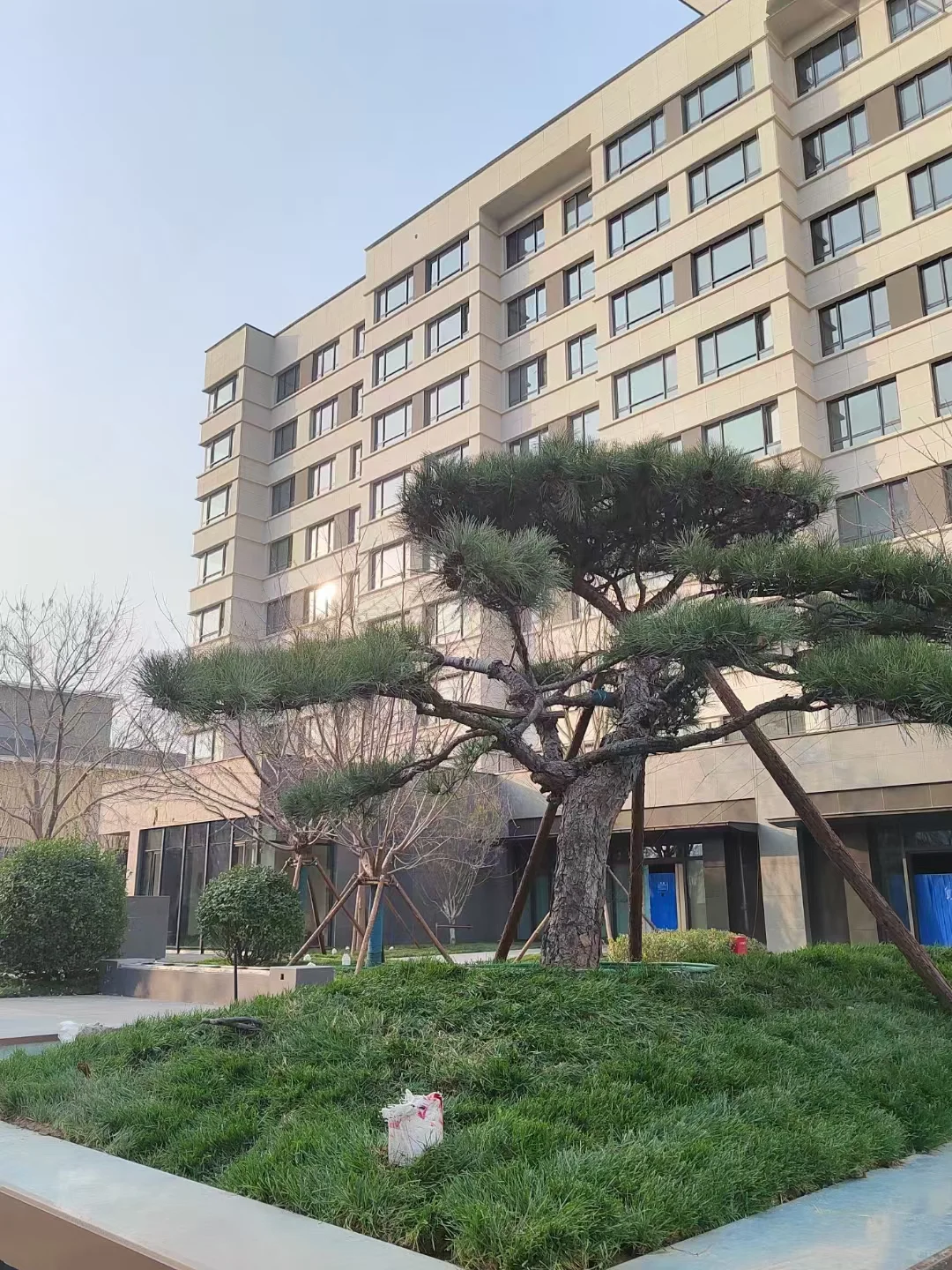 坐标天津 医养社区急聘