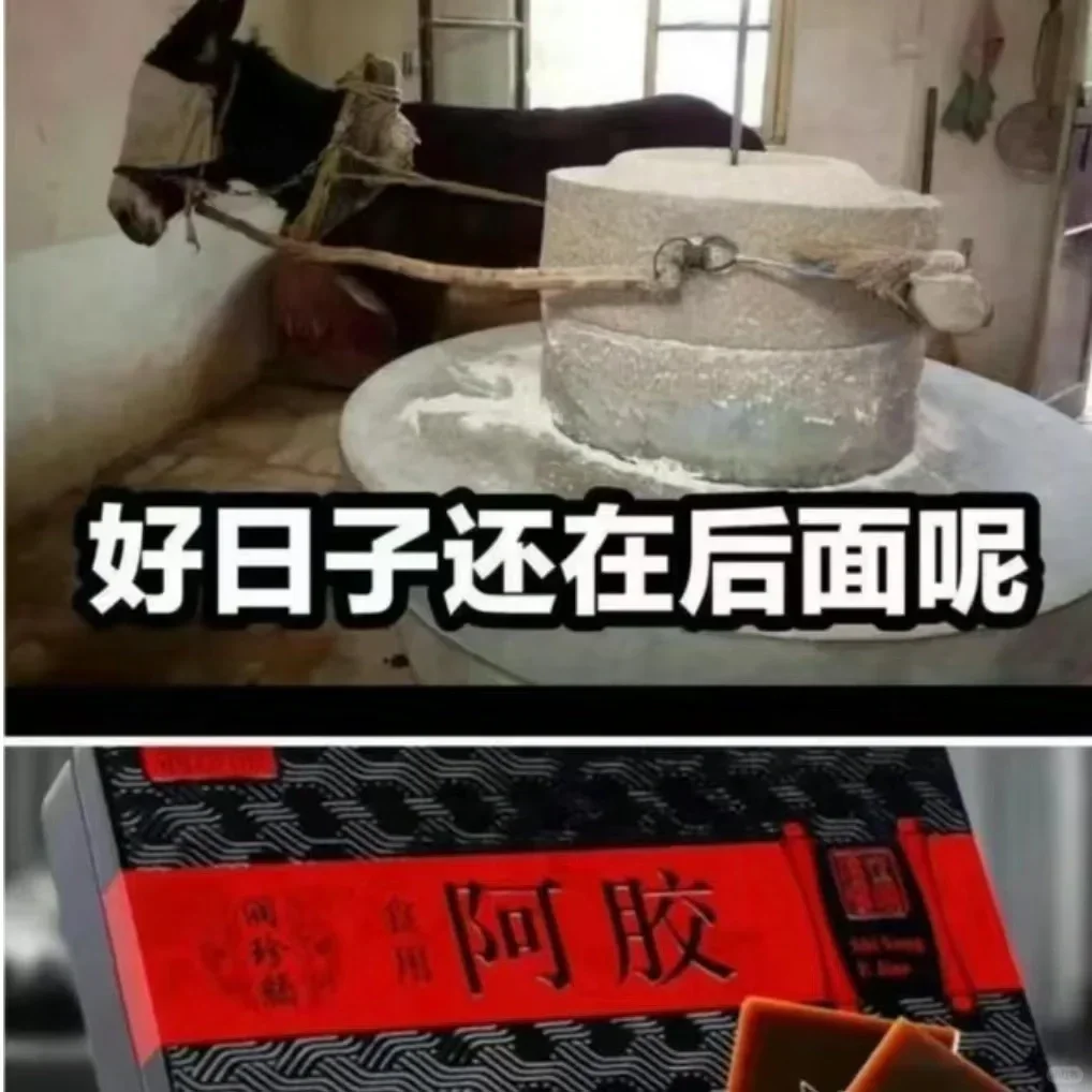 《您已进入人才库》