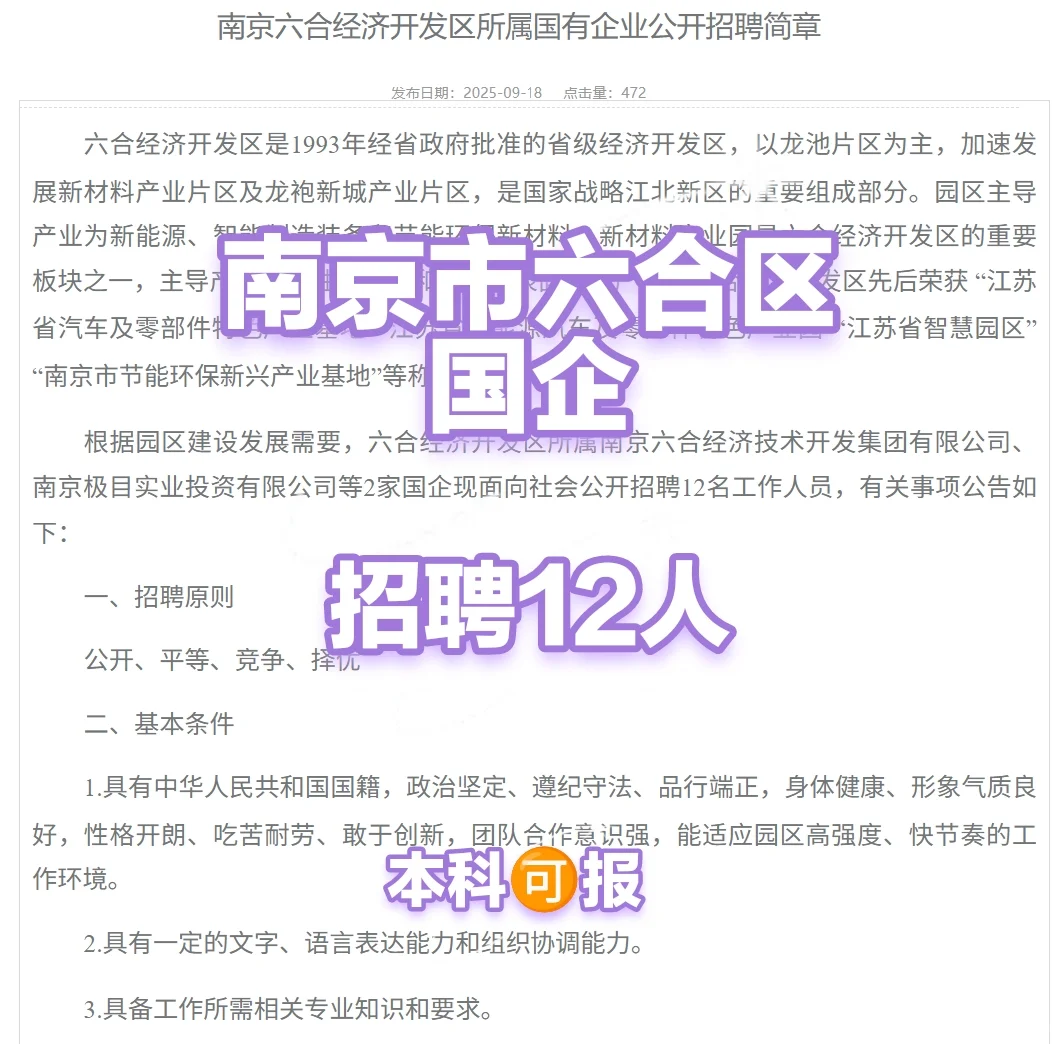 南京市六合经济开发区所属国企招聘12人