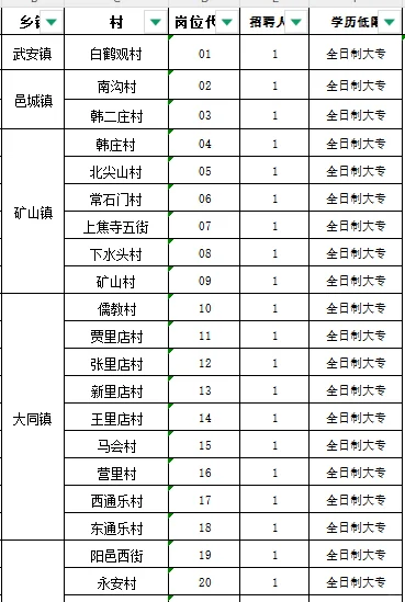 邯郸村务工作者空缺217人！大专！无笔试！