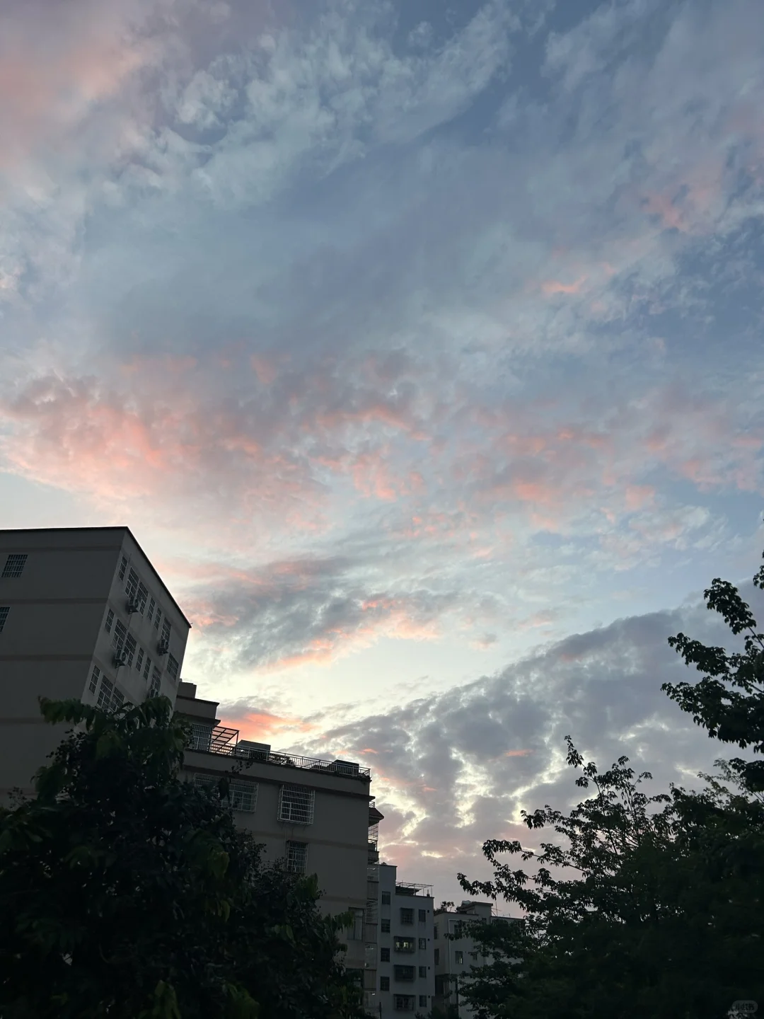广州白云教师编开盲盒，心态崩了又好了