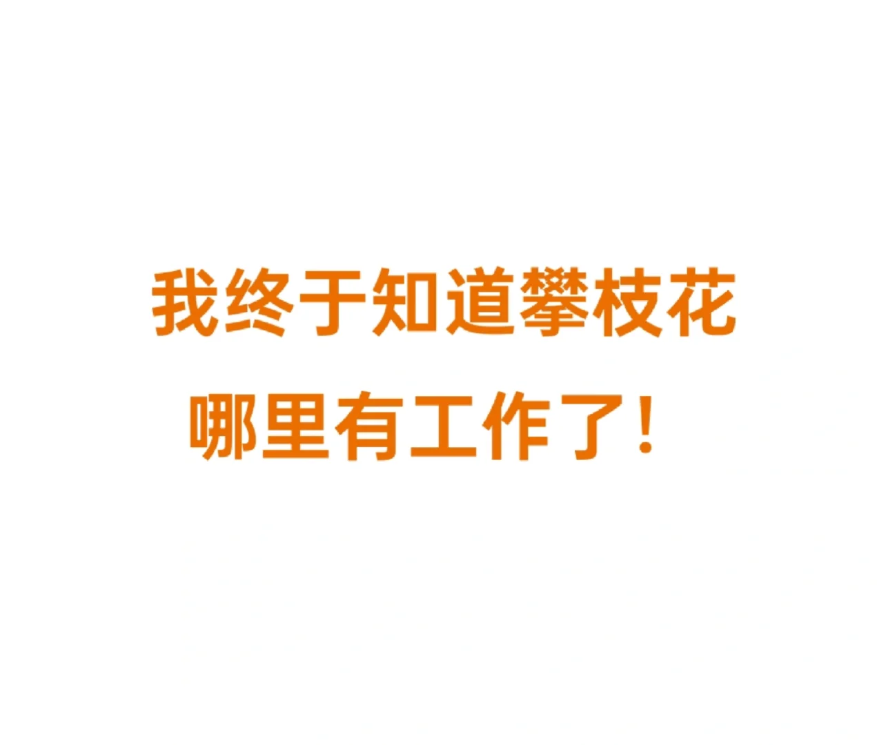 原来攀枝花人都在这里找工作！