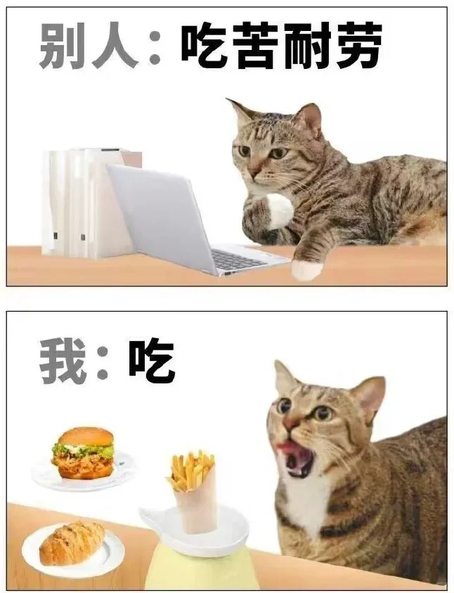 《您已进入人才库》