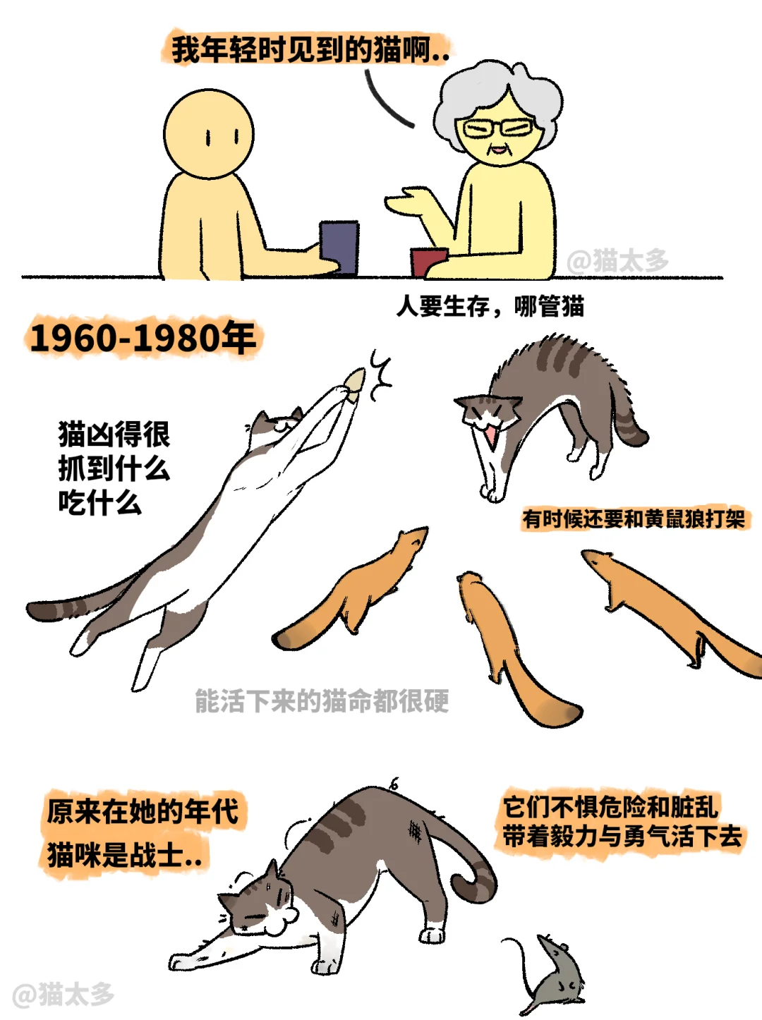 难怪摸小猫会让人这么快乐！！