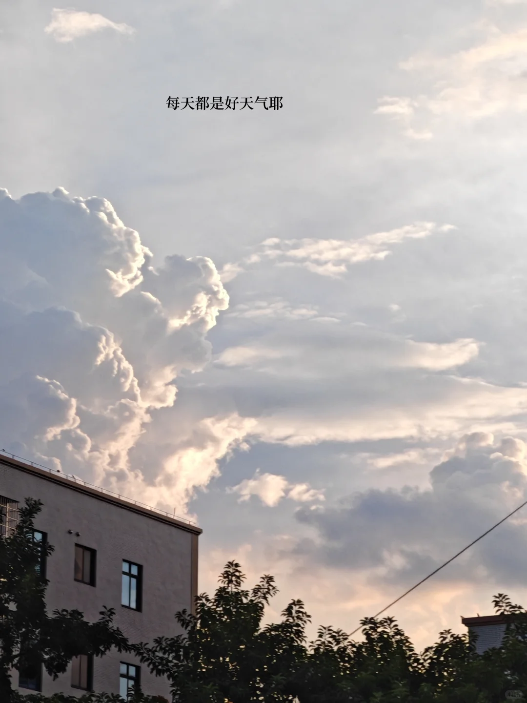 还有什么比心动的offer来得实在