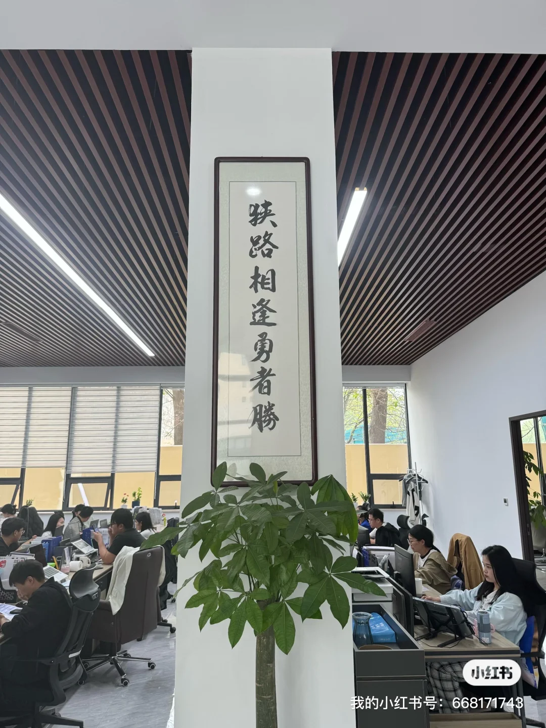 最最最好的神仙公司了吧 招聘文员助理采购