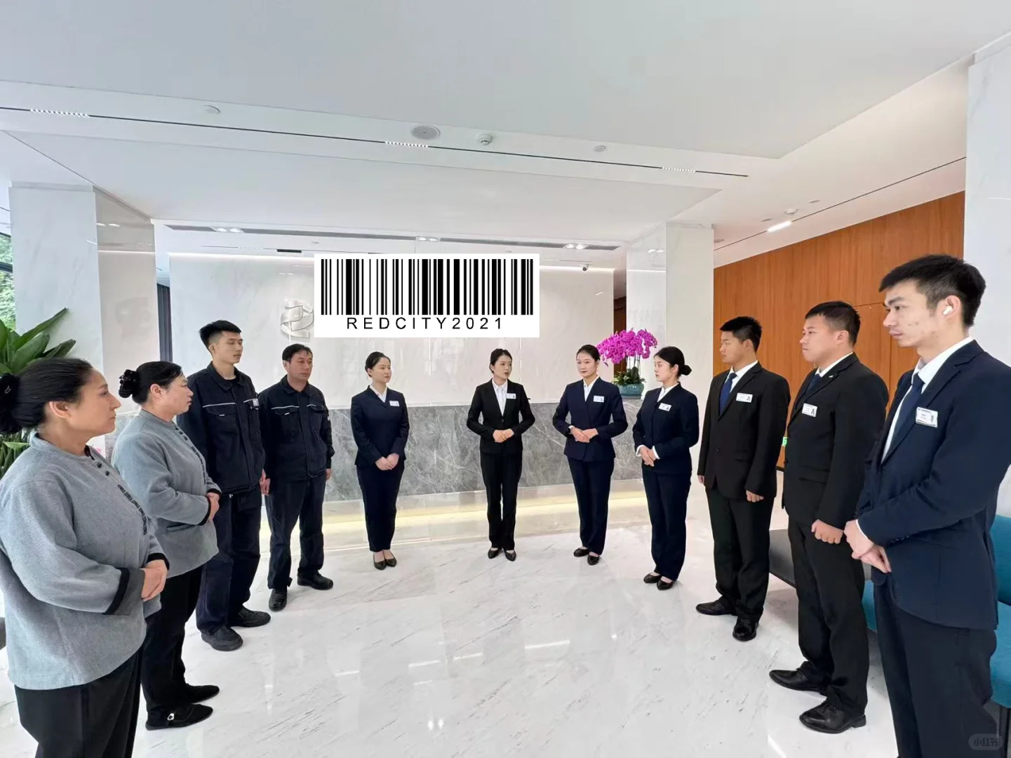 央企前台、会服招聘