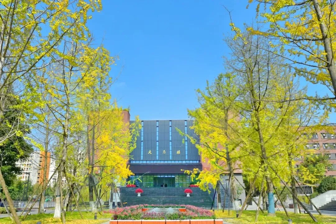 招聘资讯｜电子科技大学实验中学人才储备