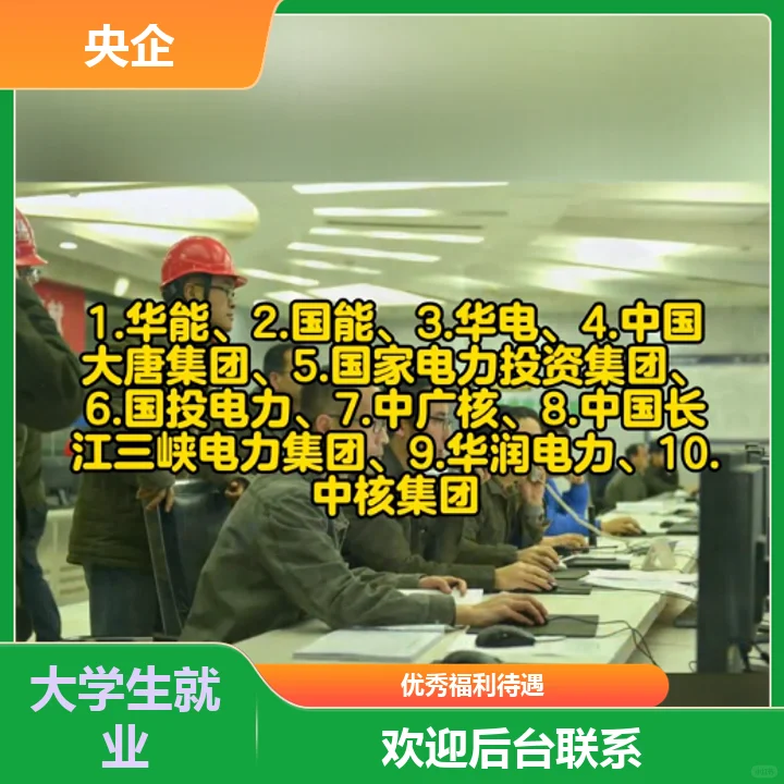 国企招聘规划服务优良