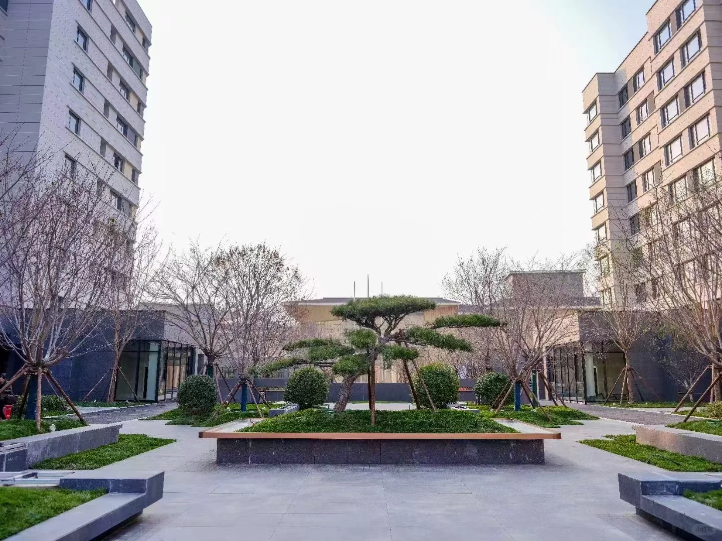 坐标天津 医养社区急聘