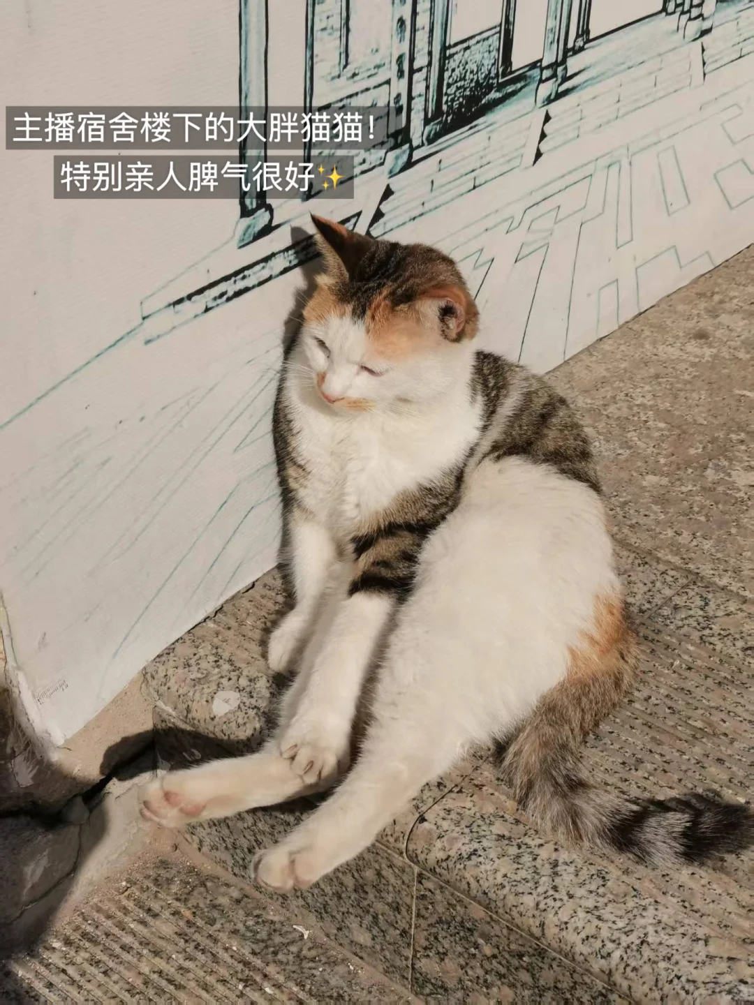 新人博主第2⃣️天｜允许自己笨拙的开始🔁
