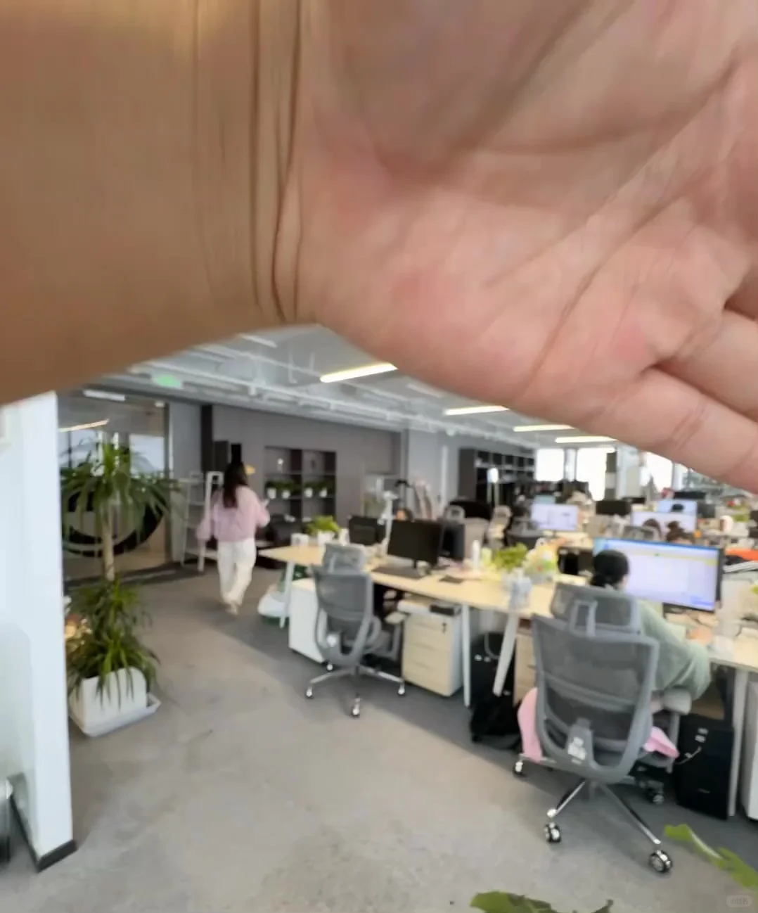 招聘大健康实力运营