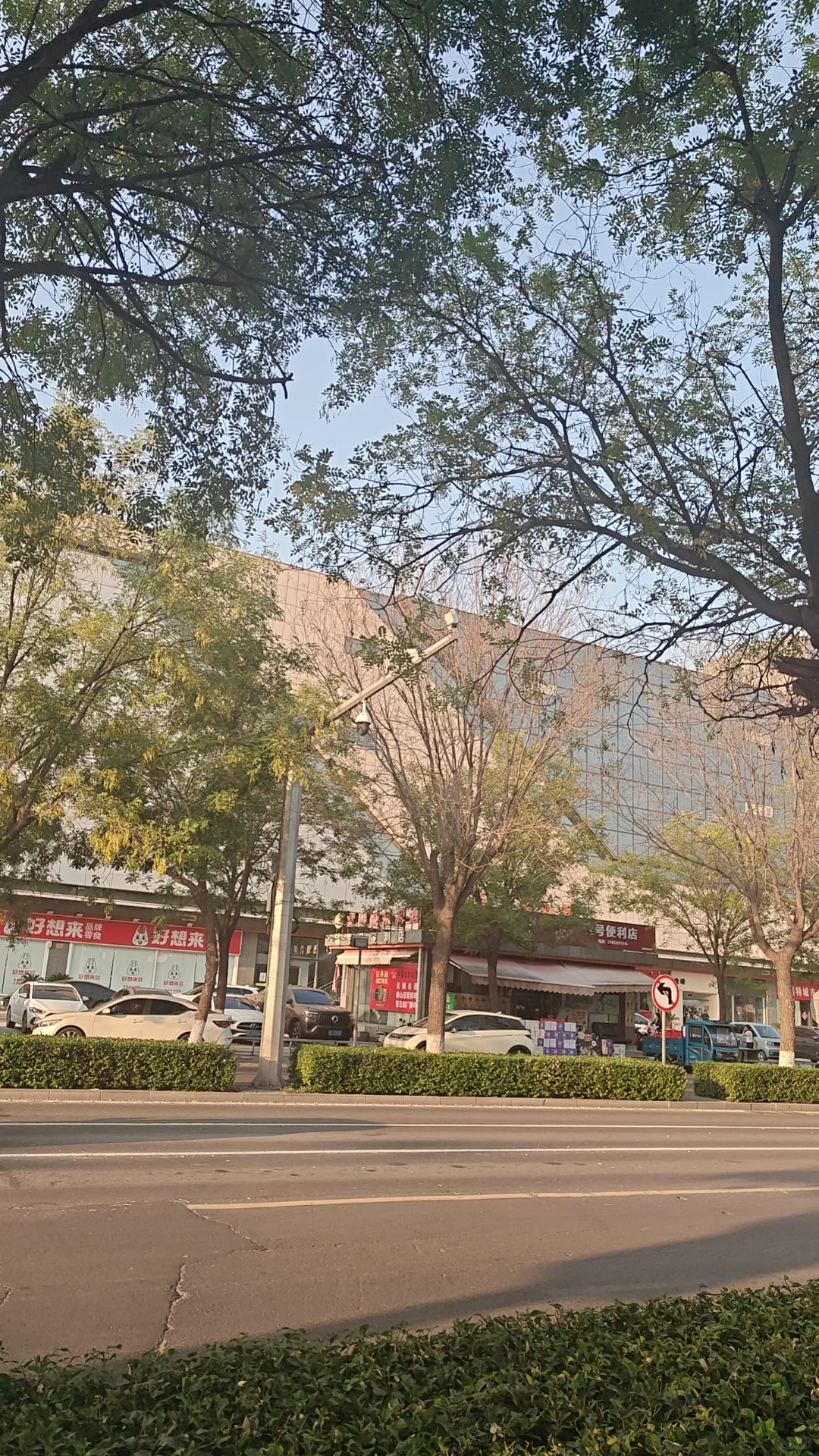 山东博士求职历险记，未上岸ing