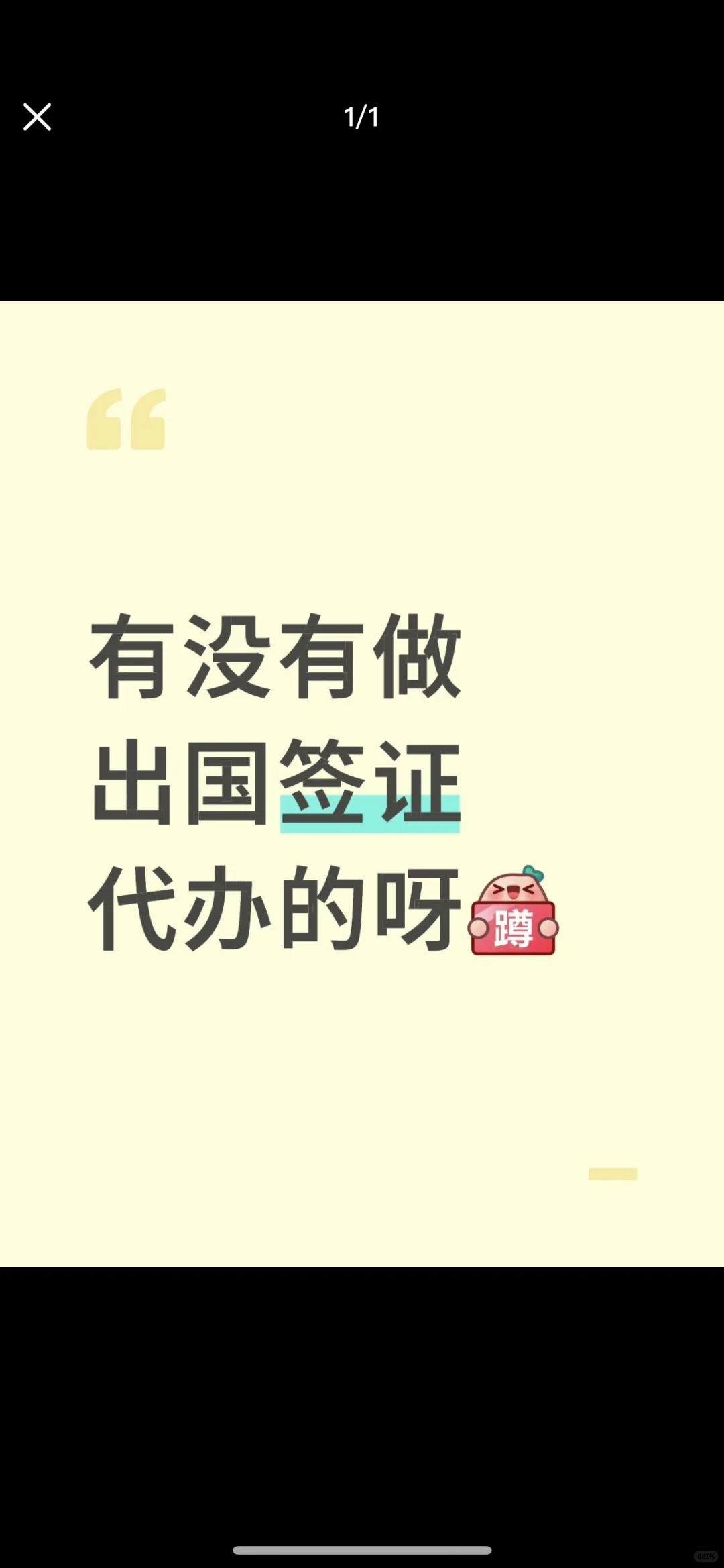 有没有办理出国签证代办的呀？