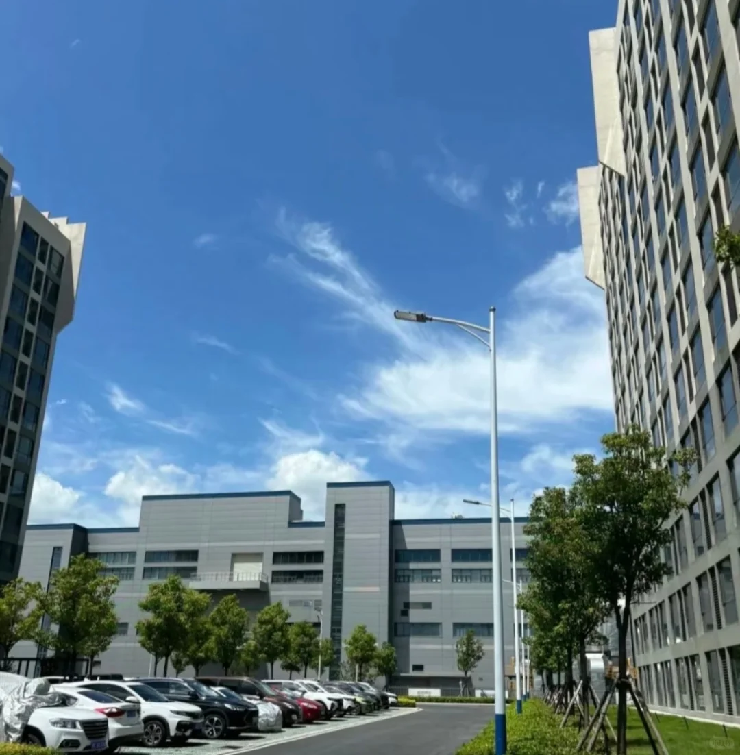 广州南沙