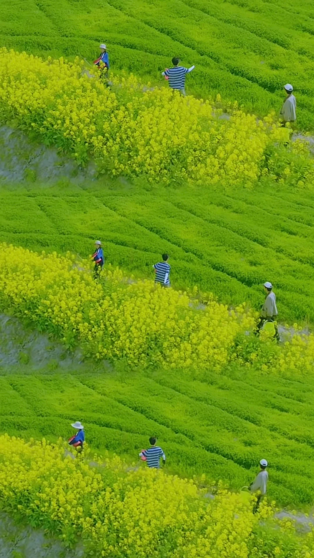 惊！说好的综艺节目竟然……