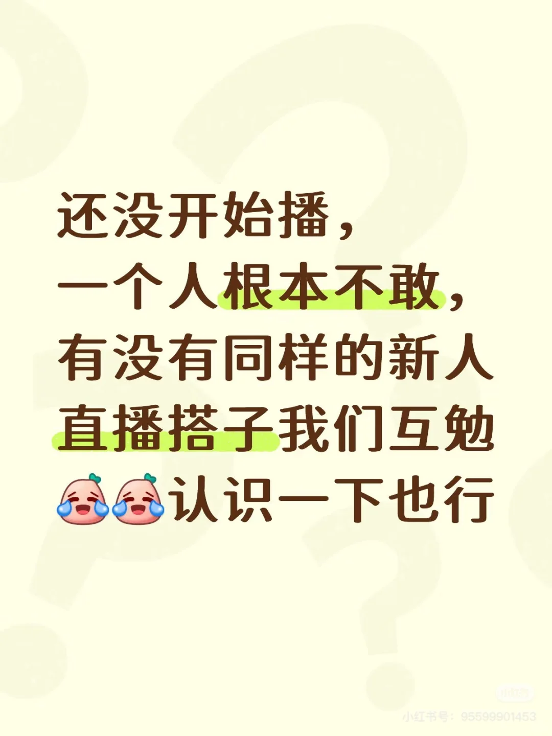 新人主播互助