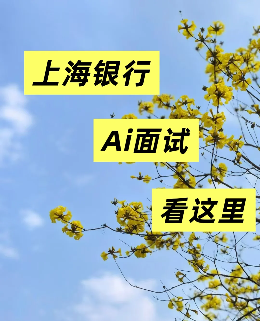 上海银行Ai面试