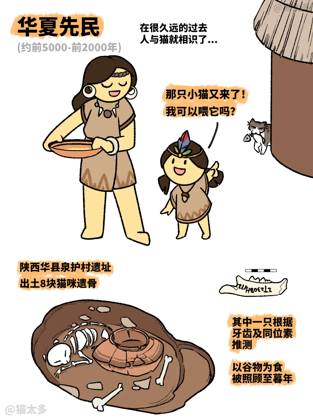 难怪摸小猫会让人这么快乐！！