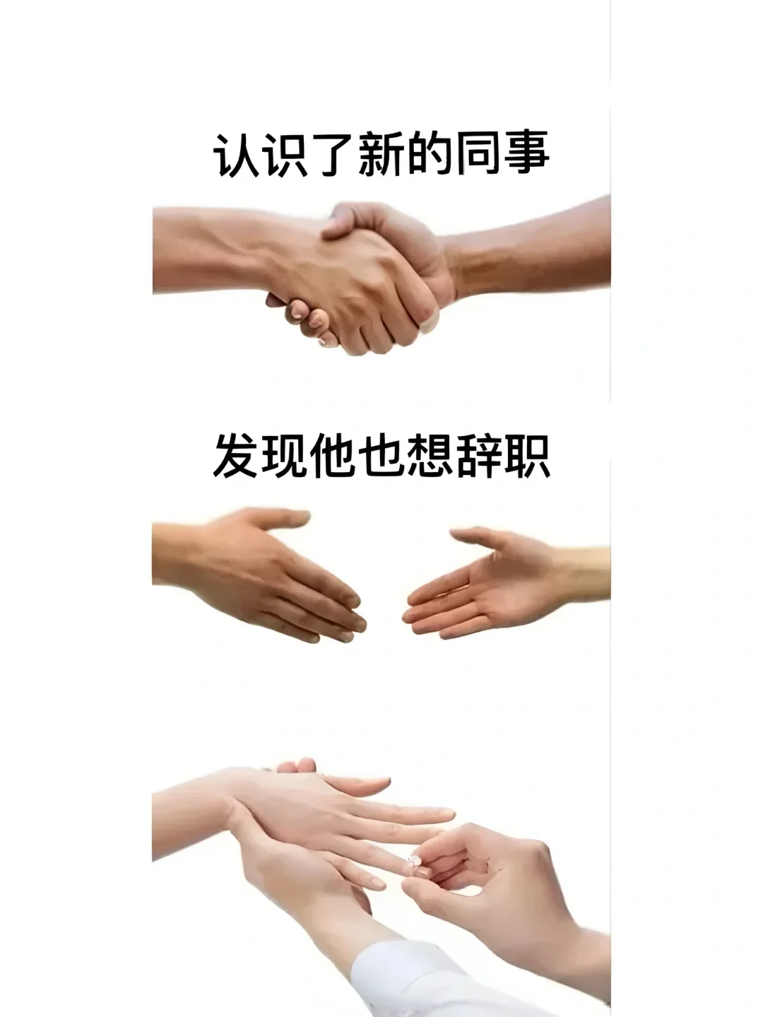 《您已进入人才库》
