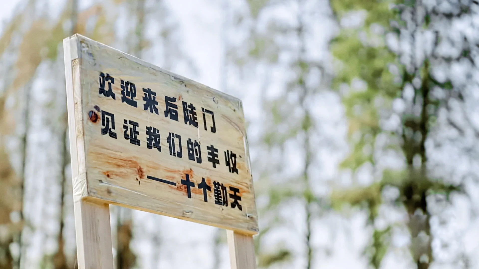 惊！说好的综艺节目竟然……
