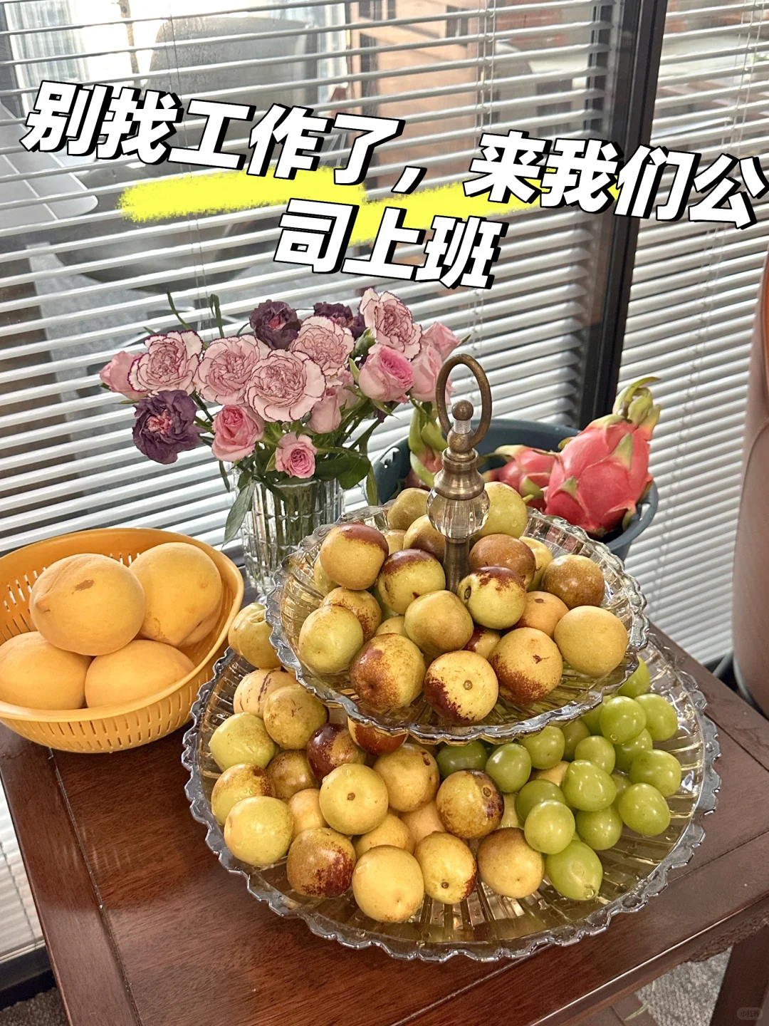 还在为找不到合适的工作而烦恼吗？
