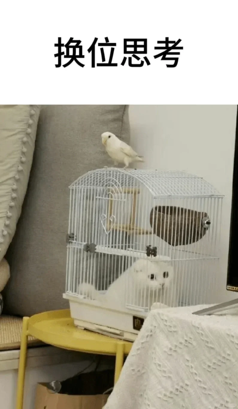 《您已进入人才库》