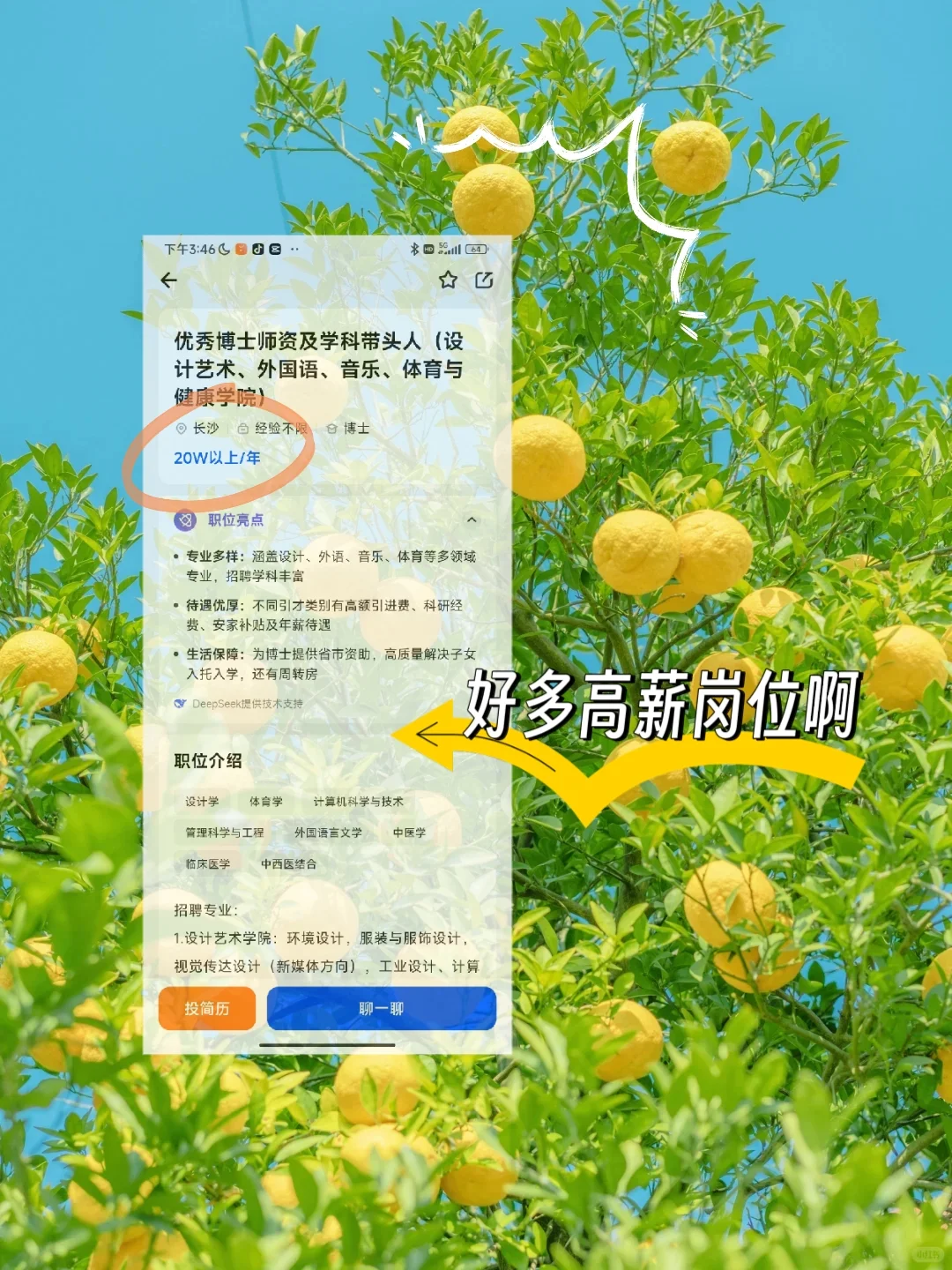 外国语专业博士毕业找工作，能拿多少薪资？