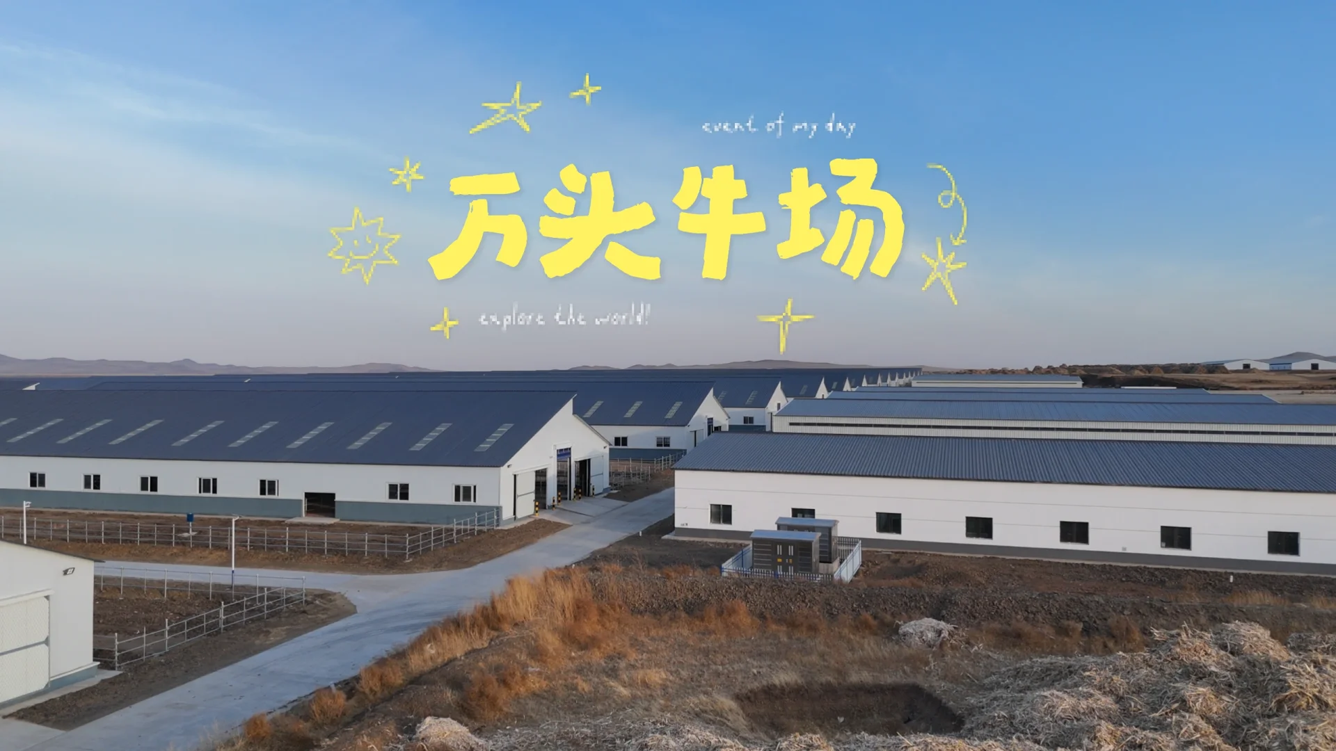 有人想来内蒙养牛吗？