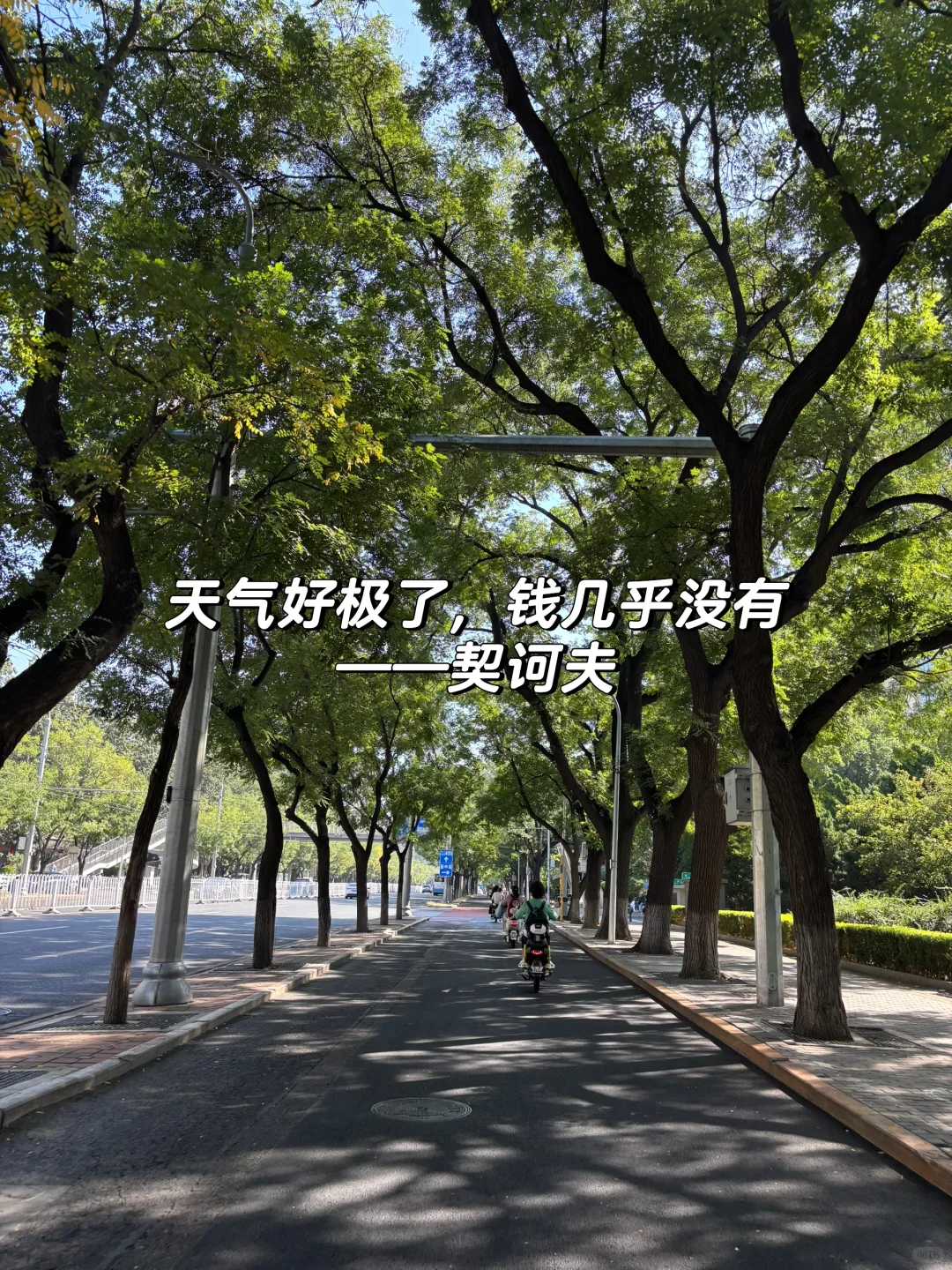 已经看不上其他工作了哈哈