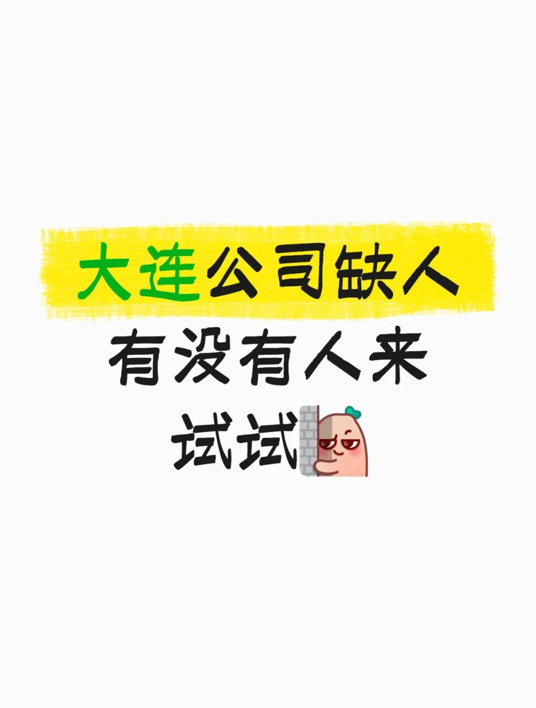 给自己找个同事😄