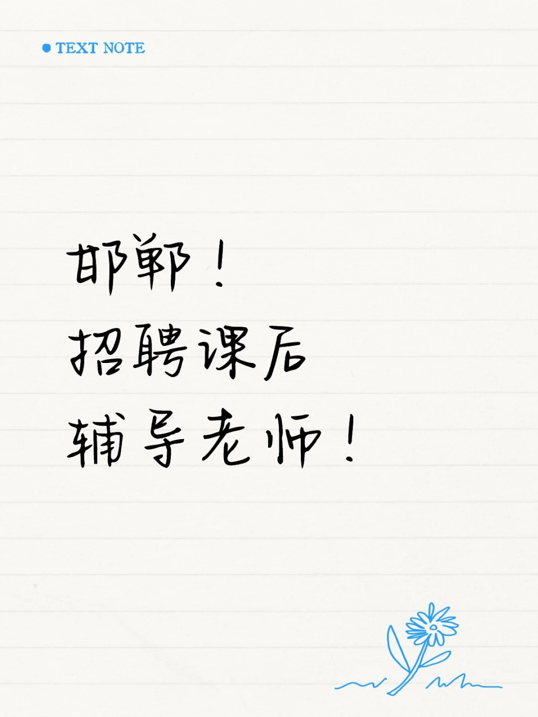 邯郸！招聘课后辅导老师