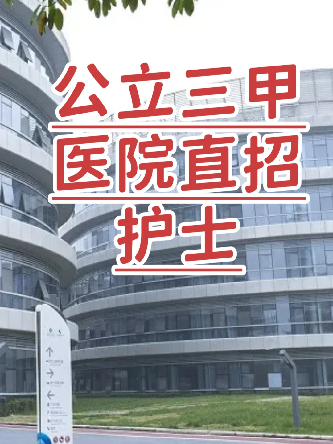 公立三甲医院🏥聘护士