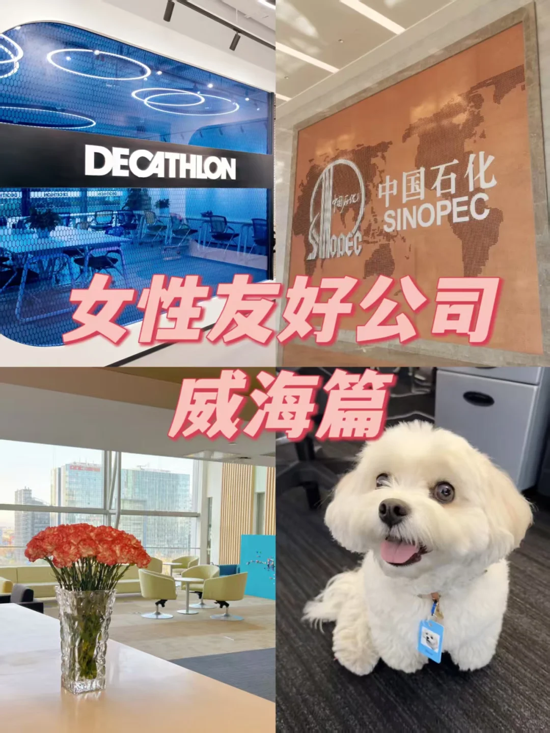 女性友好公司 威海篇