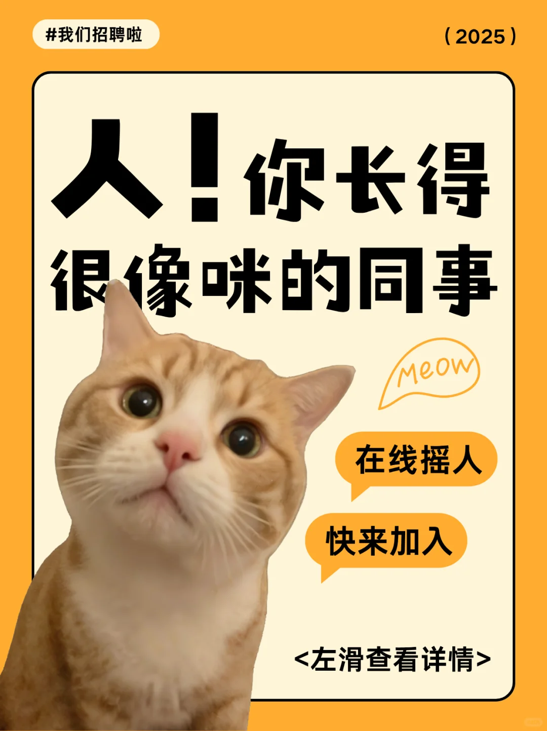 你想和谁一起上班？🐱