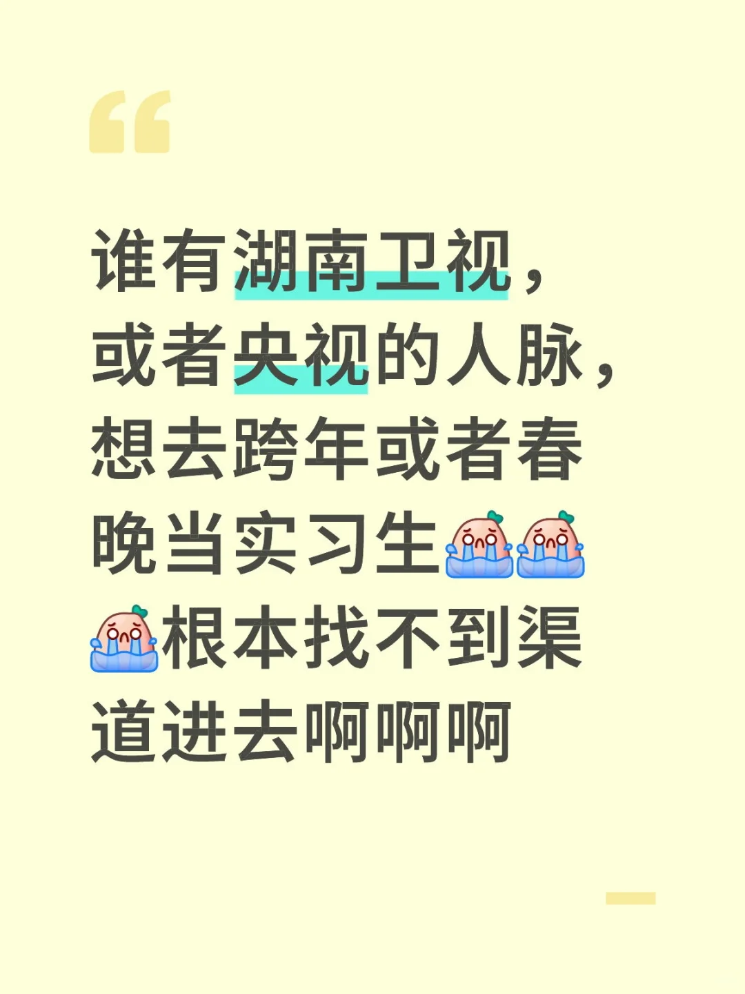 晚会实习生