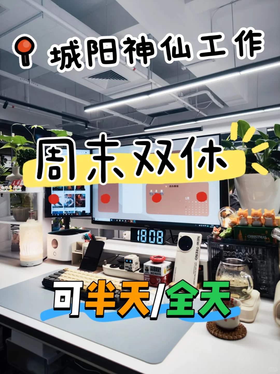 青岛城阳双休神仙工作招人啦