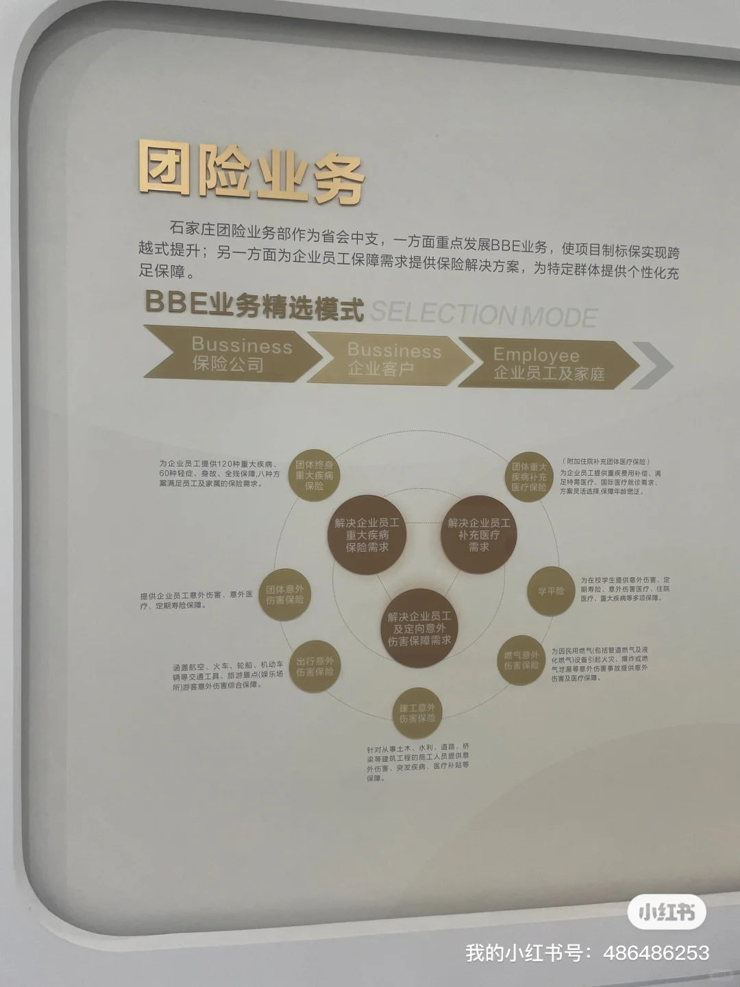国企招聘 周六日双休