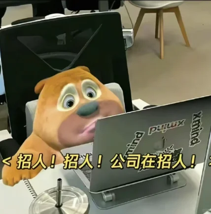 再不找工作就过年啦~