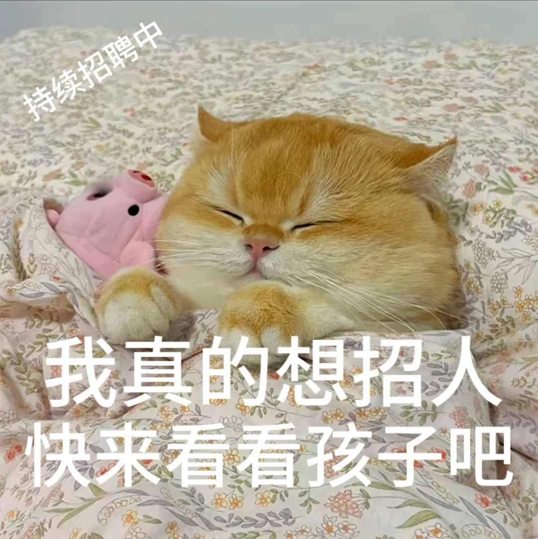 找工作 招聘表情包、免费分享小猫表情包