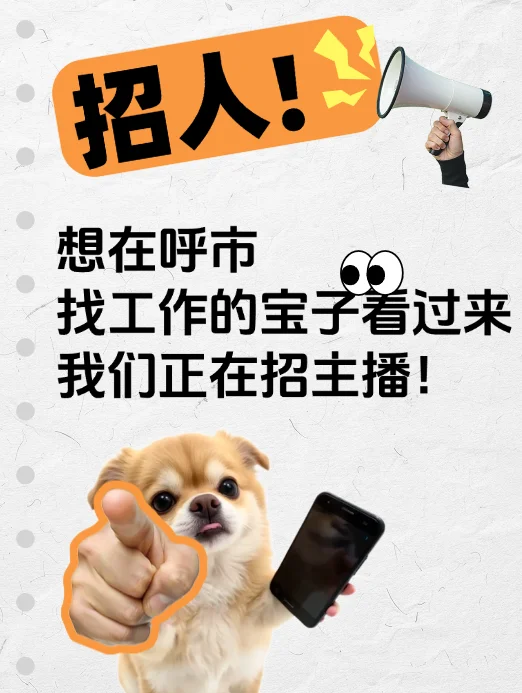呼和浩特主播招聘