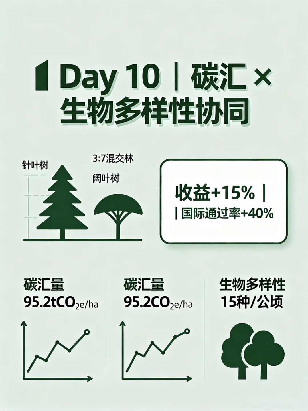 🌱 Day 10｜林业应届勇闯ESG