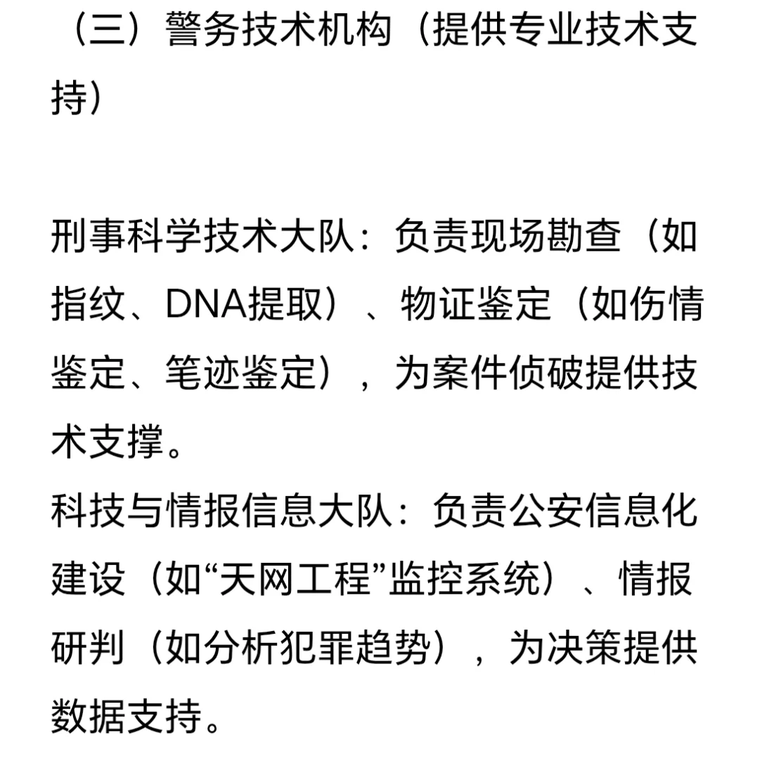 公安系统岗位层级与职责详解（刑侦文必备）