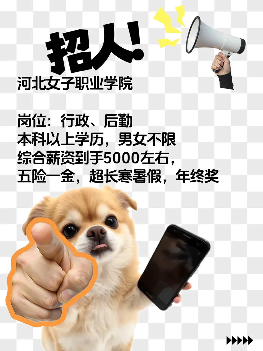 河北女子职业学院招聘