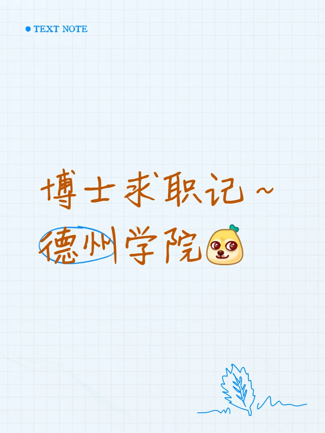 博士求职记2～德州学院