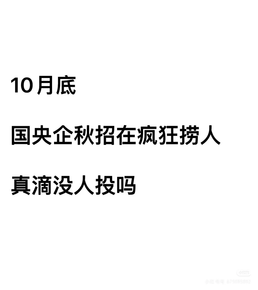 10月底央国企校招
